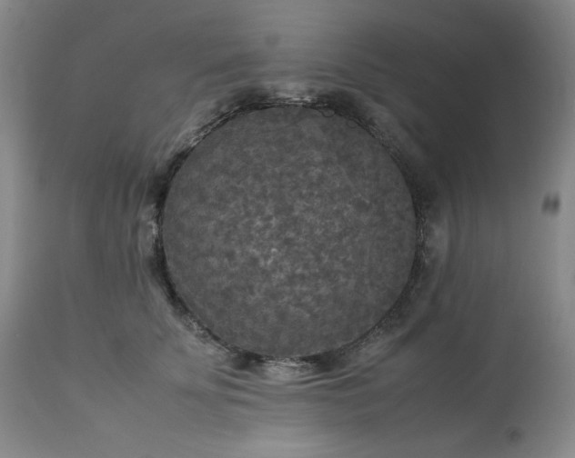 X0000113220707200909241448