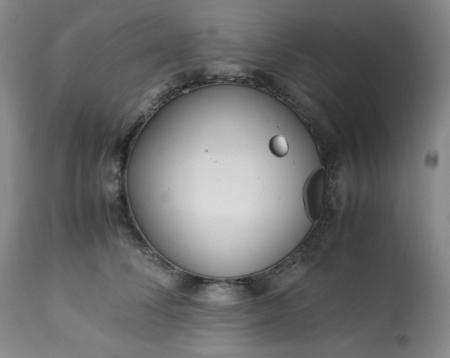 X0000113220708200909241448