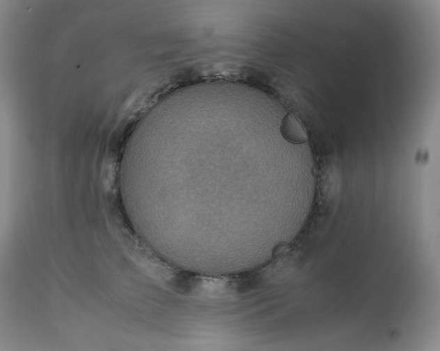 X0000113220709200909241448