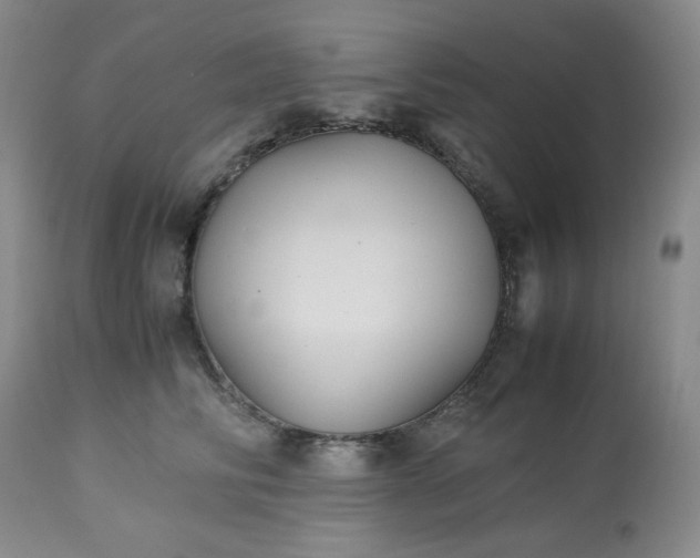 X0000113220710200909241448