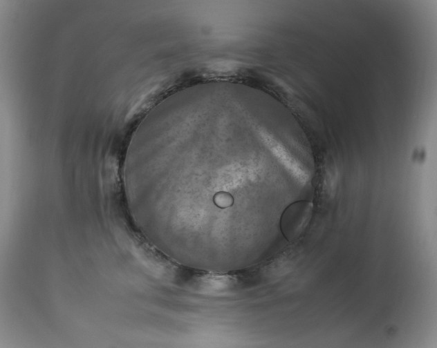 X0000113220711200909241448