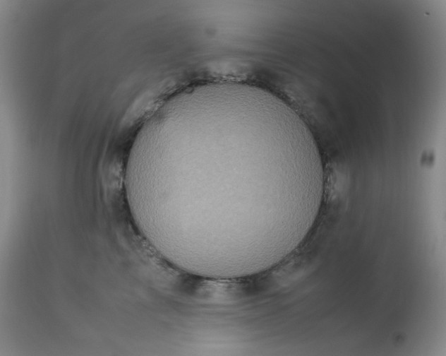 X0000113220713200909241448