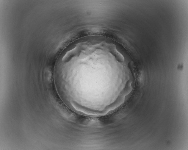 X0000113220715200909241448