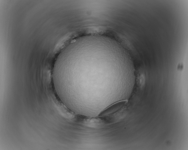 X0000113220716200909241448