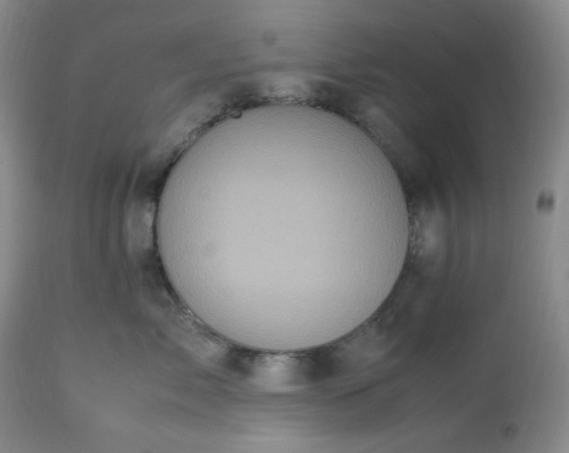 X0000113220717200909241448