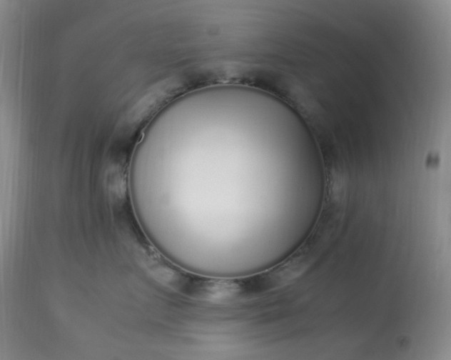 X0000113220719200909241448