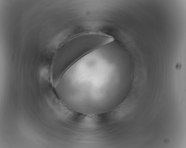 X0000113220720200909241448