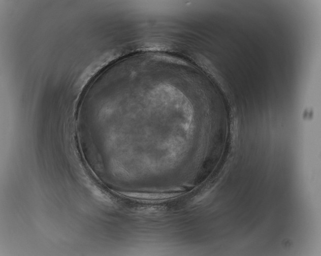 X0000113220721200909241447