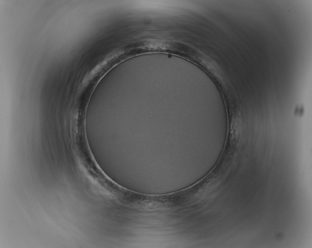 X0000113220722200909241447