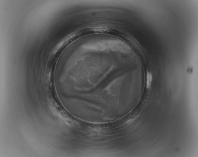 X0000113220723200909241447