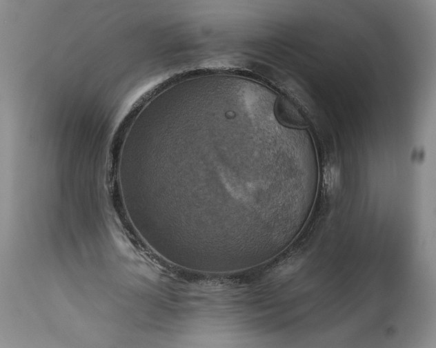 X0000113220724200909241447