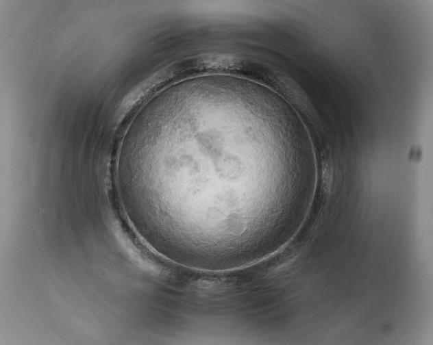 X0000113220725200909241447