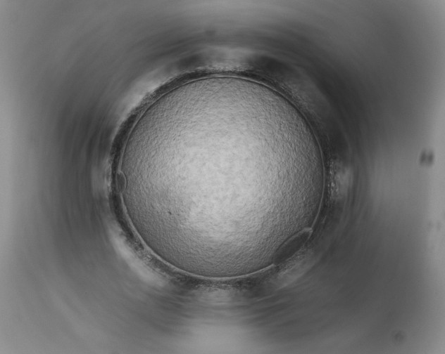 X0000113220726200909241447