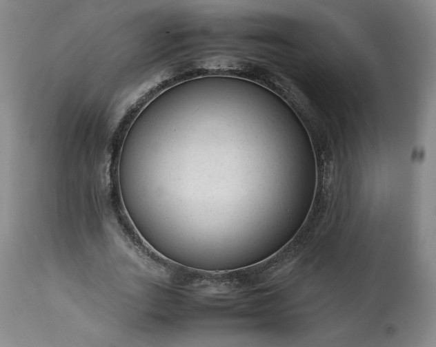 X0000113220727200909241447