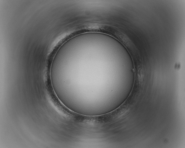 X0000113220728200909241447