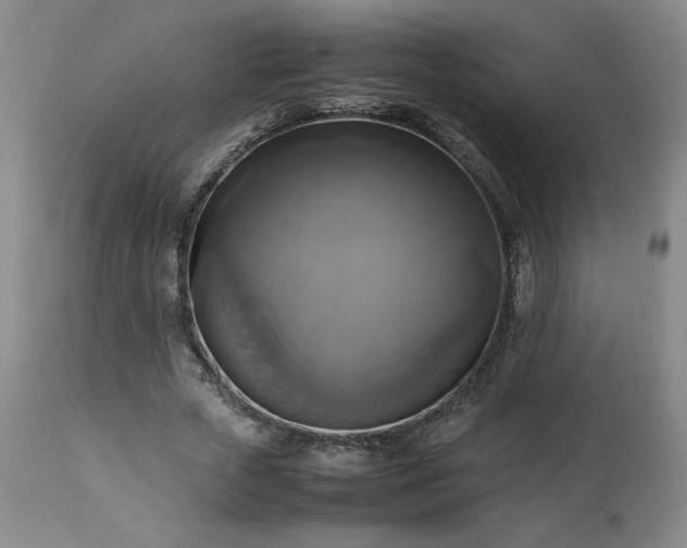 X0000113220729200909241447