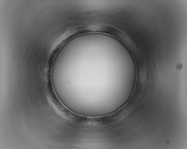 X0000113220730200909241447