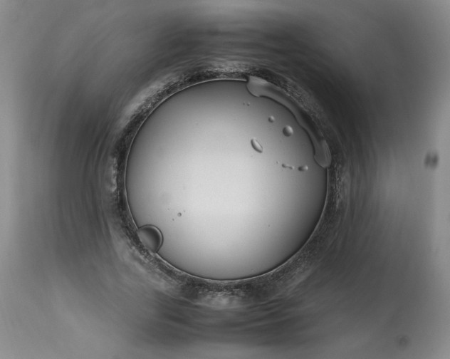 X0000113220731200909241447