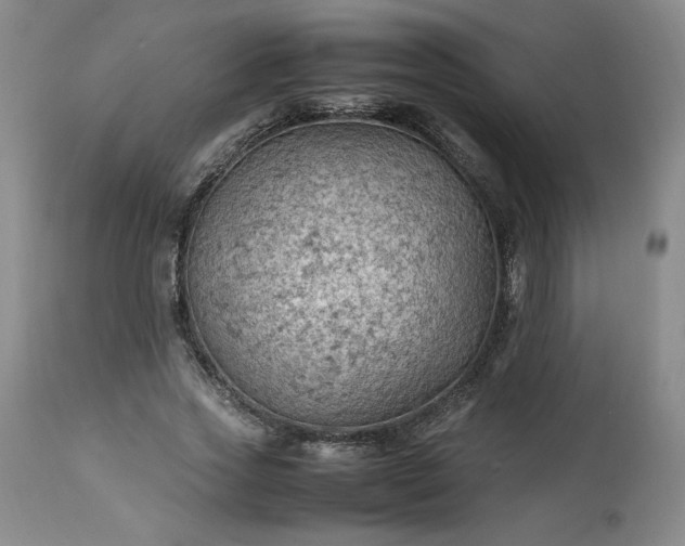 X0000113220733200909241447