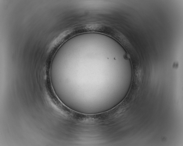 X0000113220734200909241447