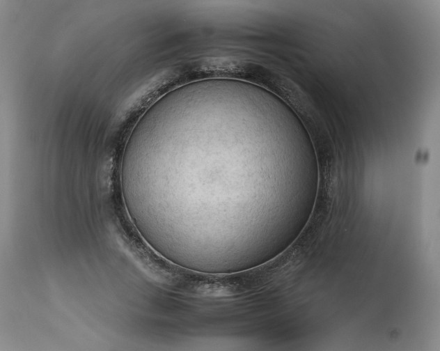 X0000113220735200909241447