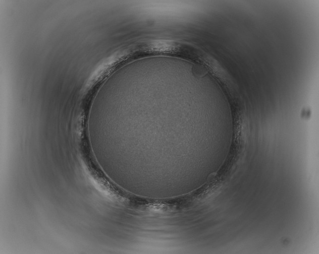 X0000113220736200909241447