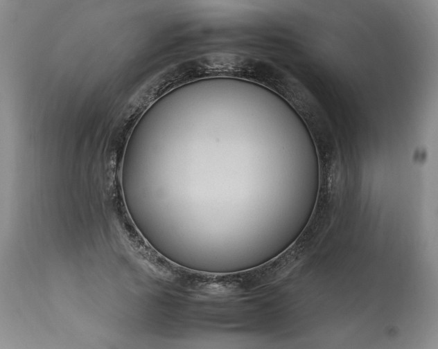 X0000113220737200909241447