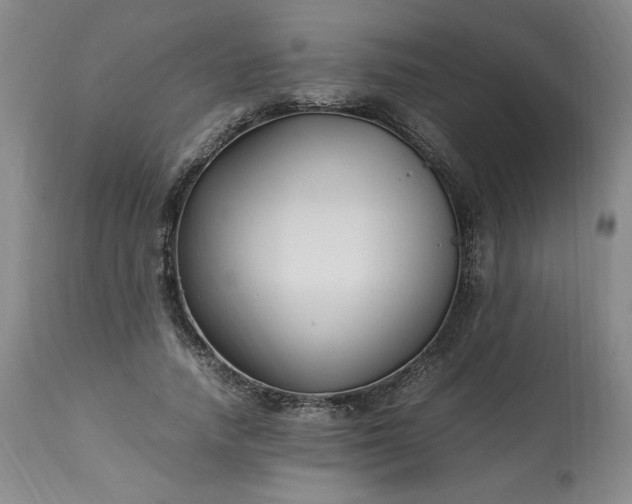 X0000113220738200909241448