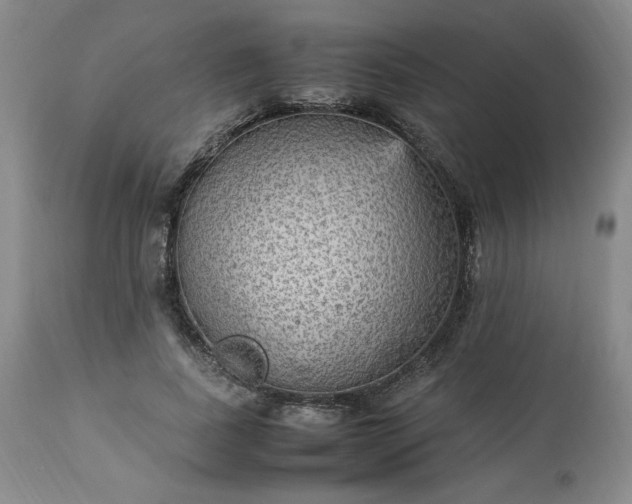 X0000113220739200909241448