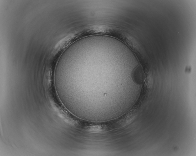 X0000113220740200909241448