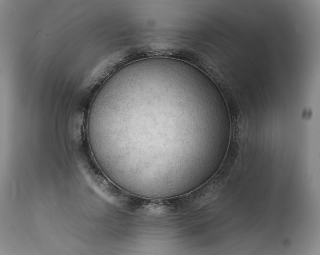 X0000113220742200909241448