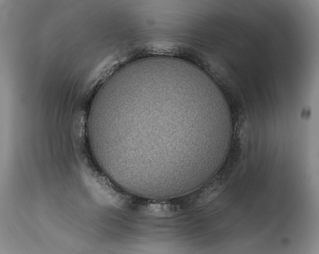 X0000113220744200909241448