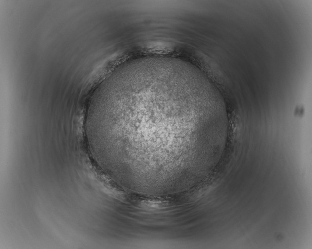 X0000113220745200909241448