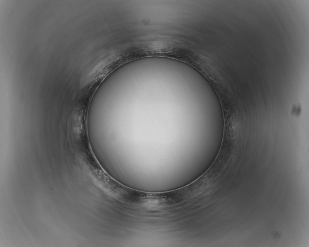 X0000113220746200909241448