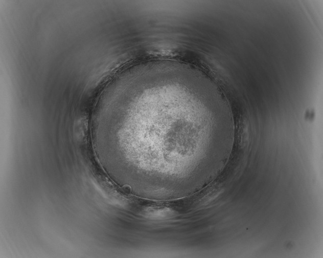 X0000113220747200909241448