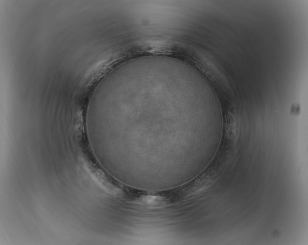 X0000113220748200909241448