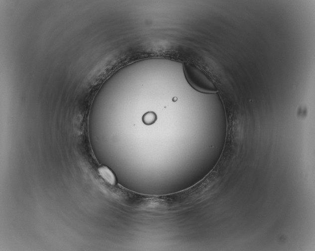 X0000113220750200909241448