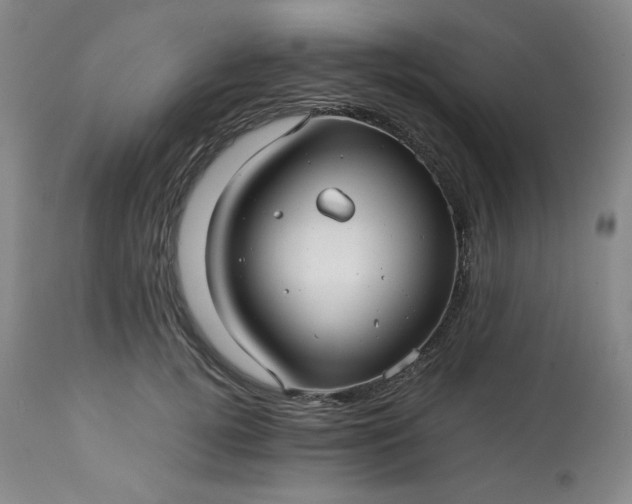 X0000113220752200909241448