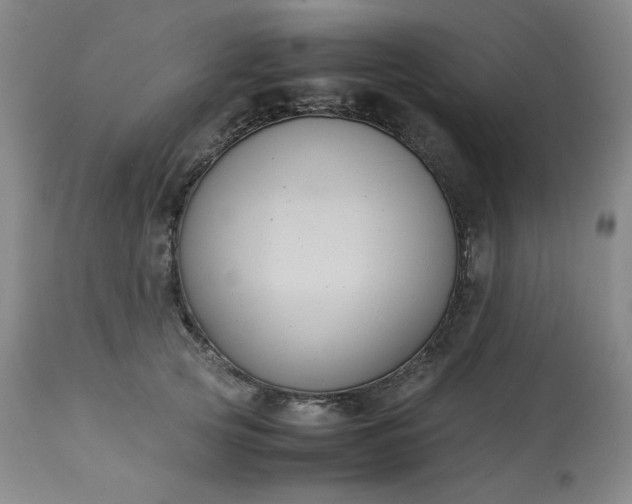 X0000113220753200909241448