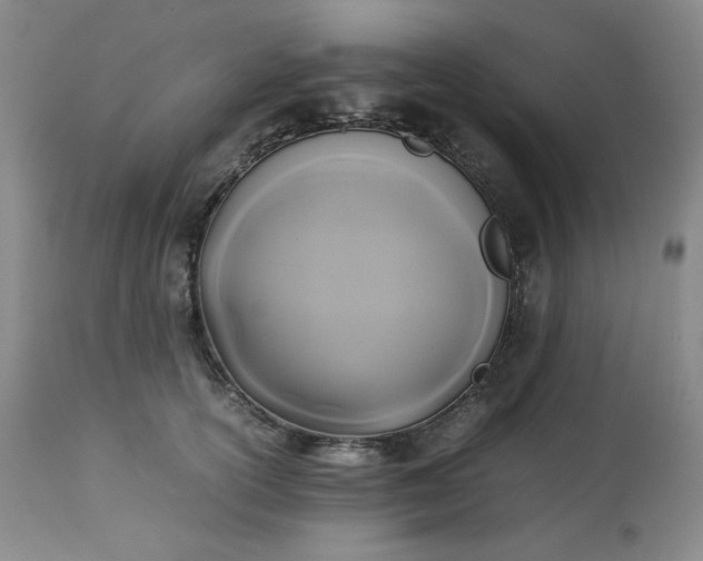 X0000113220754200909241448