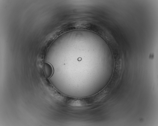 X0000113220755200909241448