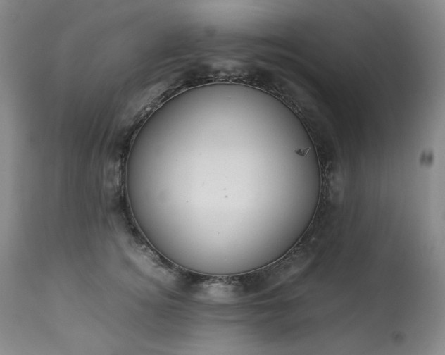 X0000113220756200909241448