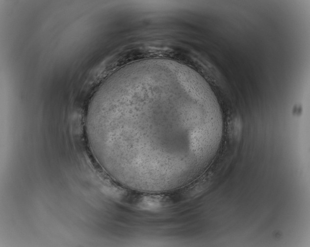 X0000113220757200909241448