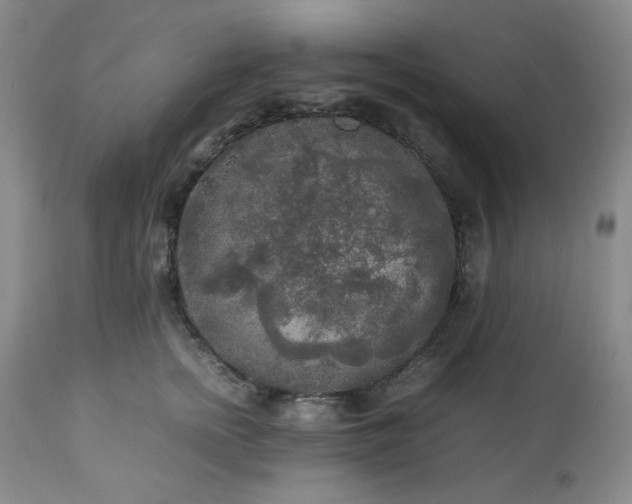 X0000113220758200909241448