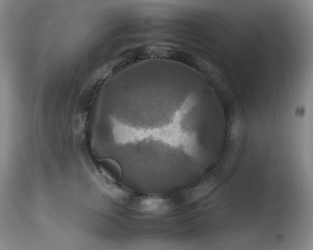 X0000113220759200909241448