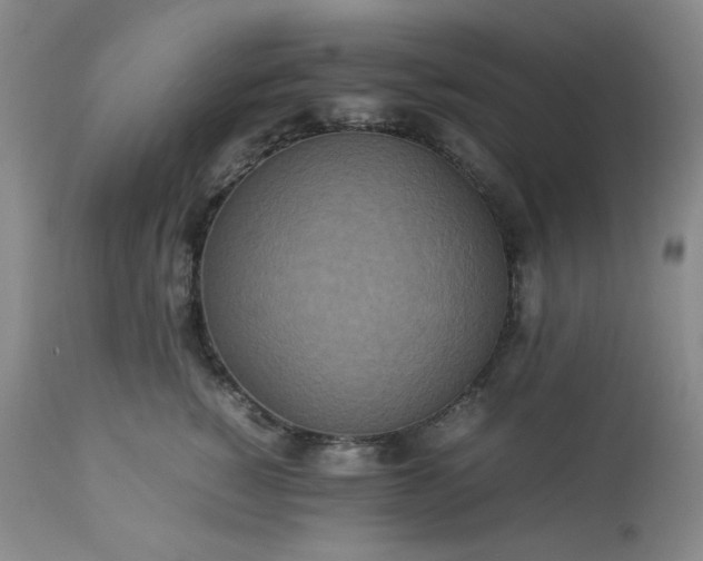 X0000113220760200909241448