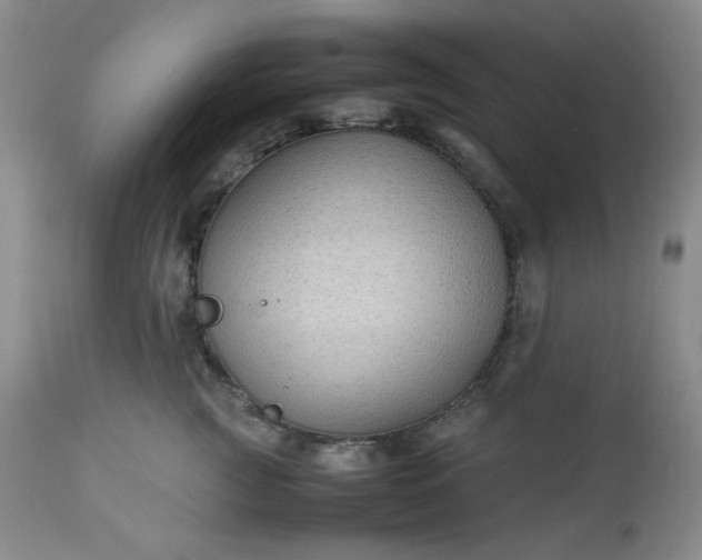 X0000113220761200909241448