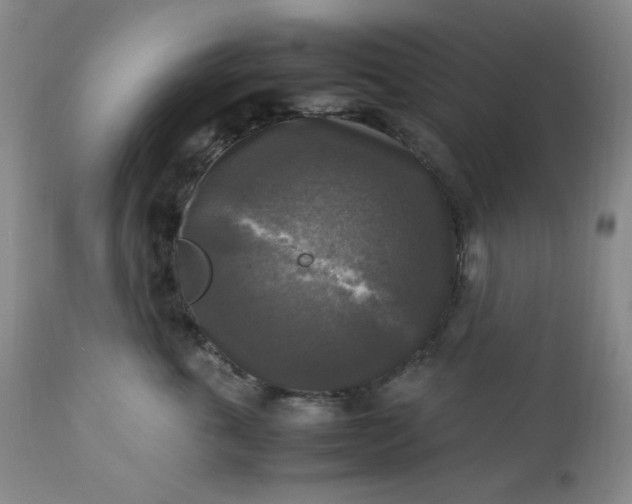 X0000113220763200909241448