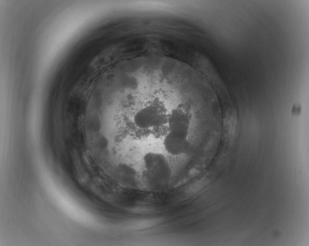 X0000113220765200909241448