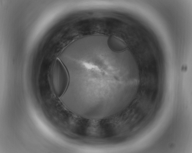 X0000113220766200909241448